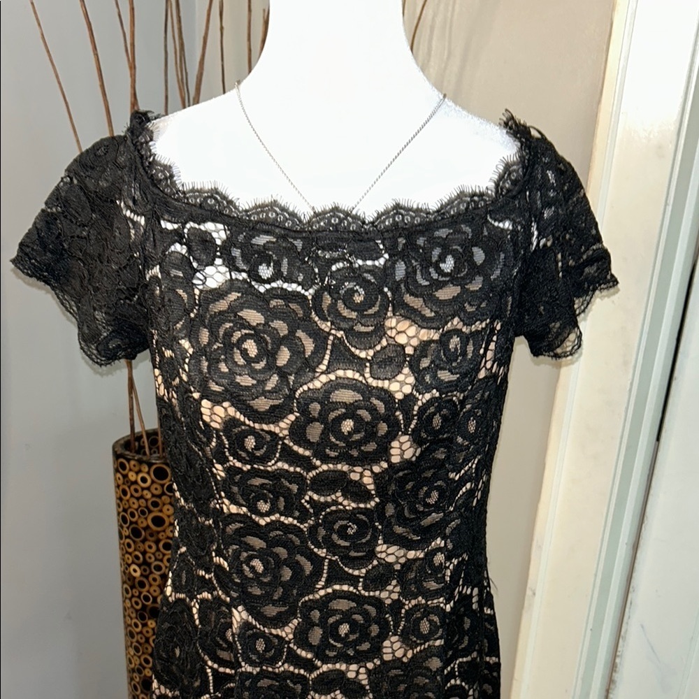 Adrianna Papell Black Tan Off-Shoulder Flutter Sleeve Mini Dress - Picture 2 of 11